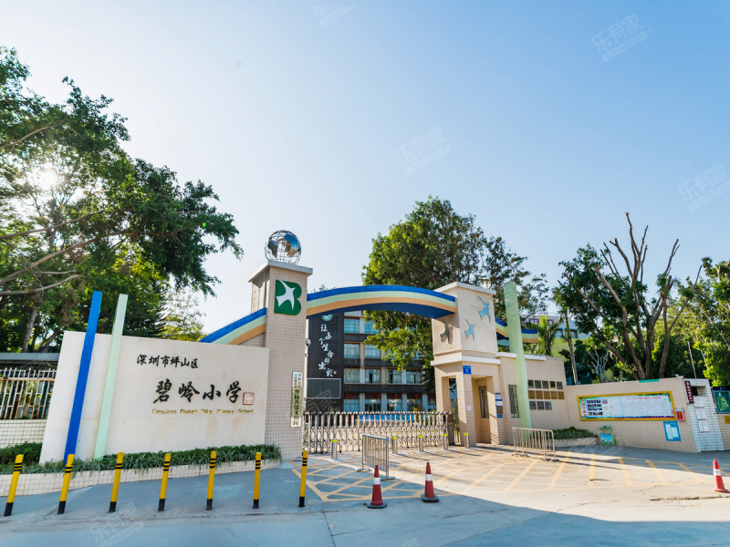 深圳市坪山区碧岭小学